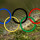 Image for article titled There Is a Poisonous Alien Caterpillar Threatening to Invade the London Olympics. Seriously.